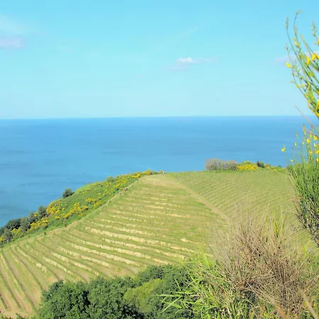 Near Urbino & Beaches Lejlighed *
