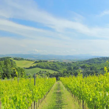 公寓 Near Urbino & Beaches 塔武利亚